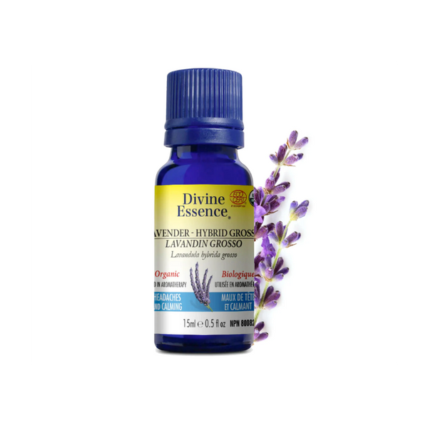 Lavandin Grosso Biologique (Lavandula x intermedia) — 15 ml