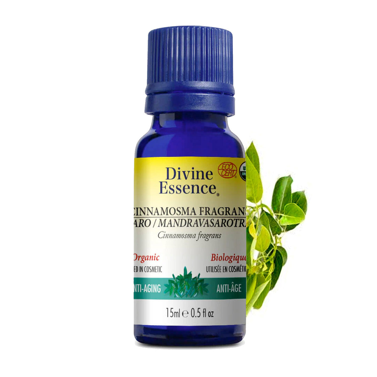 Cinnamosma Fragrans (Saro) Biologique
