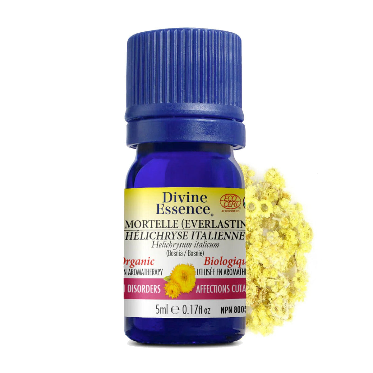 Hélichryse Italienne (Bosnie) Biologique