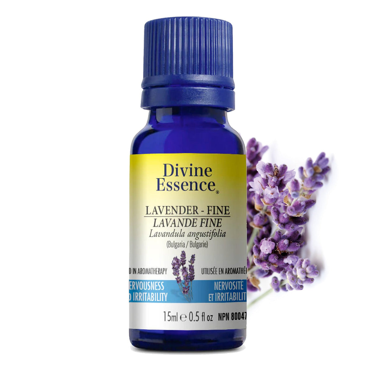 Lavande Fine — Divine Essence