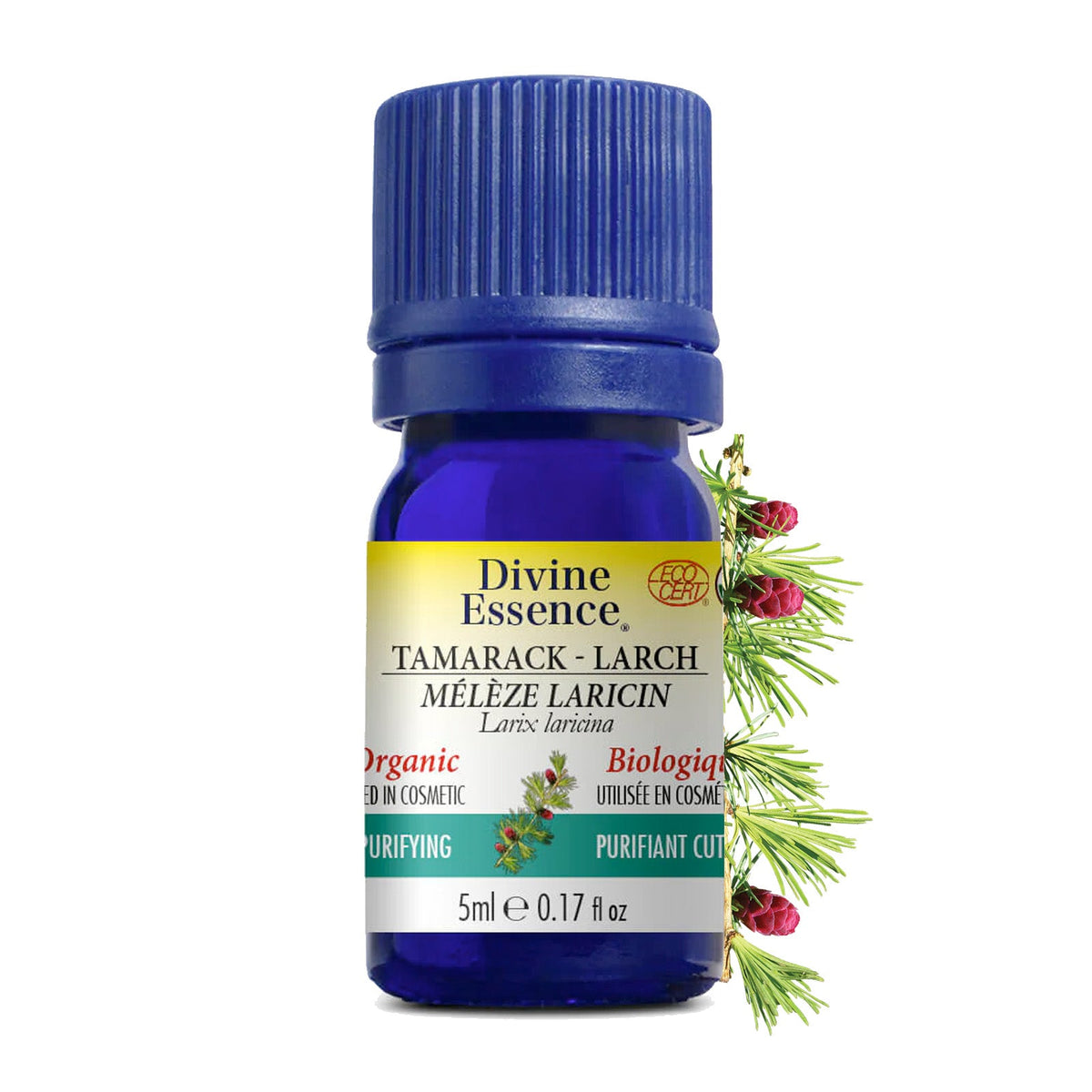 Mélèze Laricin Biologique