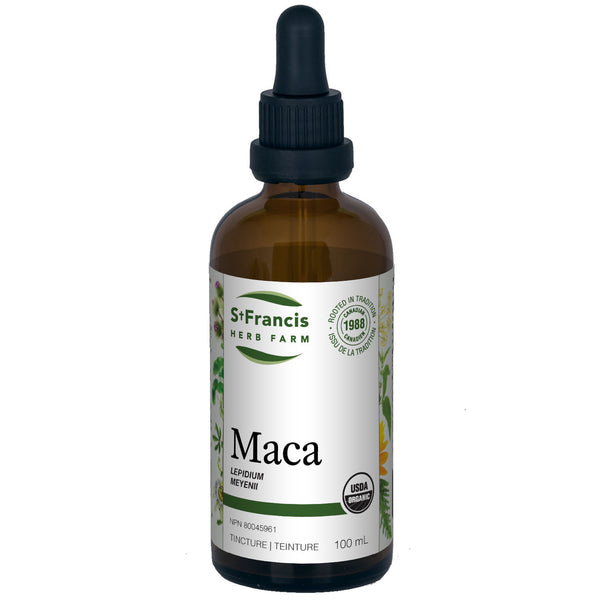 Maca — teinture mère 250 ml