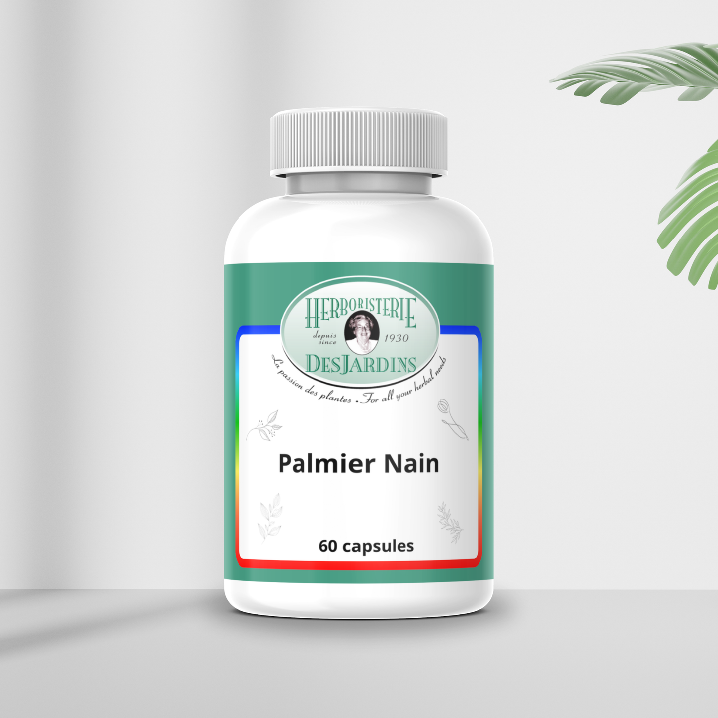 Palmier Nain