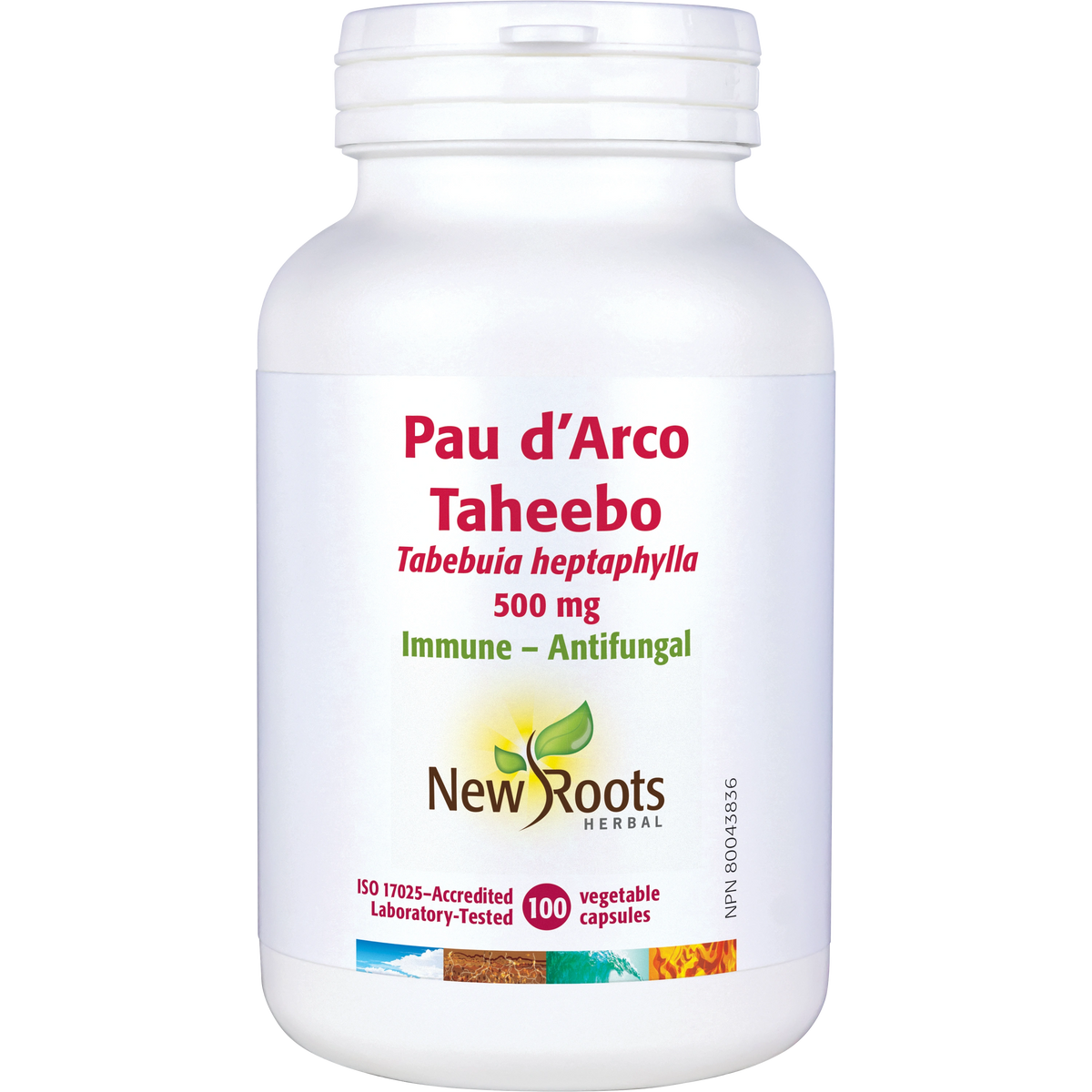 Pau D'Arco Taheebo 500 mg 100 capsules