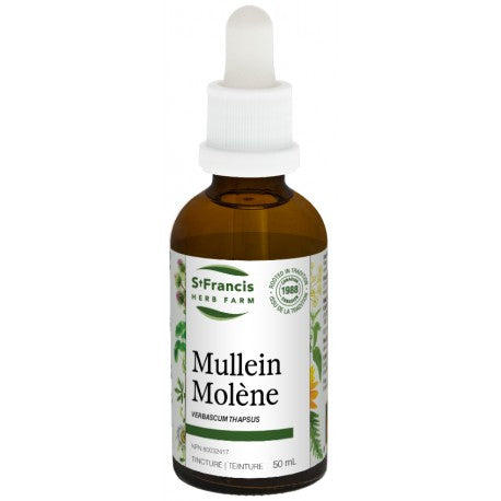 Molène teinture mère 50 ml — Herboristerie Desjardins
