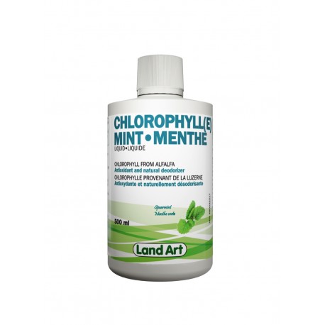 Chlorophylle Liquide à la menthe - 500ml — Herboristerie Desjardins