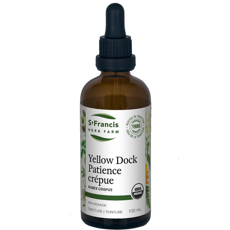 Patience Crépue teinture mère 50 ml — Herboristerie Desjardins