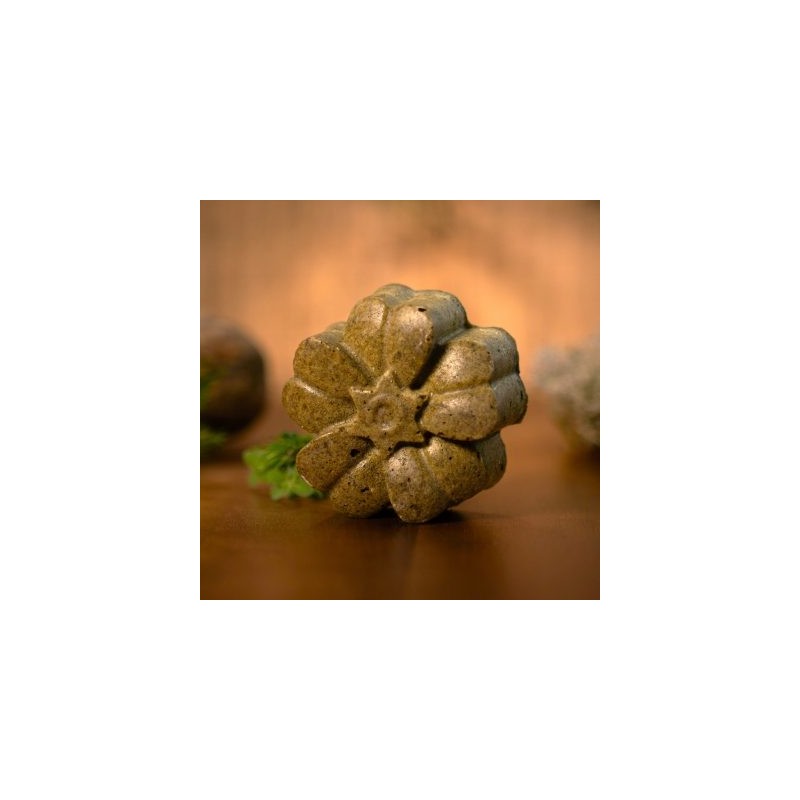 Shampoing solide Forestier 100g — Herboristerie Desjardins