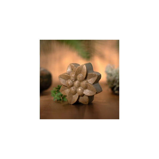 Shampoing solide Ayurvédique 100g — Herboristerie Desjardins