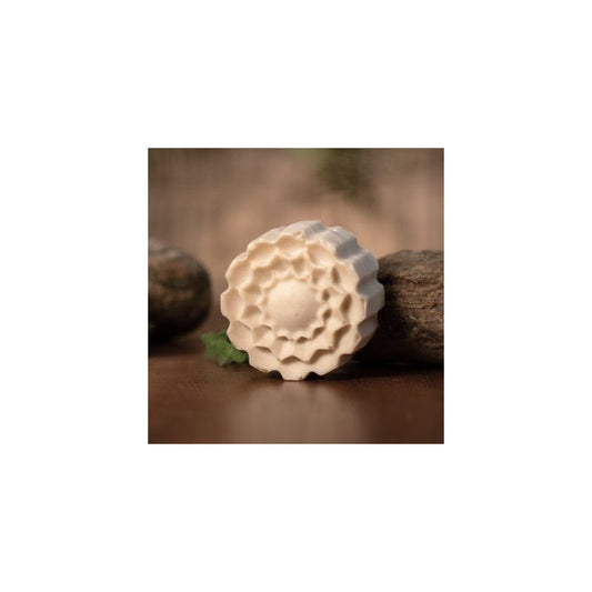 Shampoing solide Flocon de Neige 100g — Herboristerie Desjardins