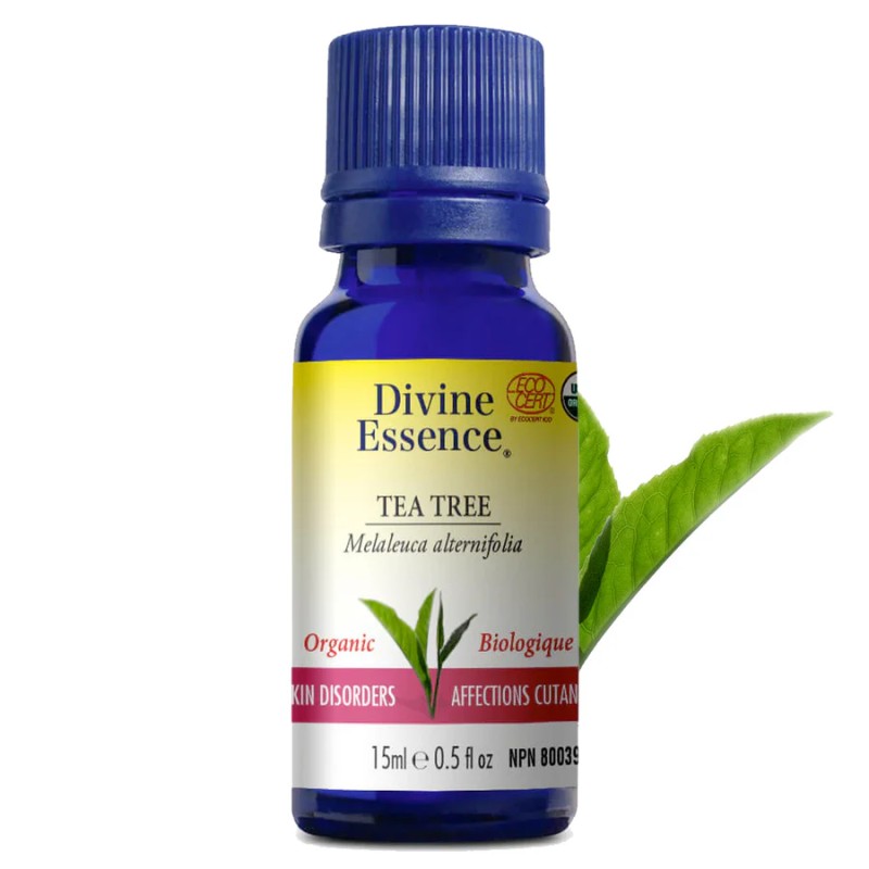 Huile essentielle Tea Tree Biologique 15 ml — Herboristerie Desjardins