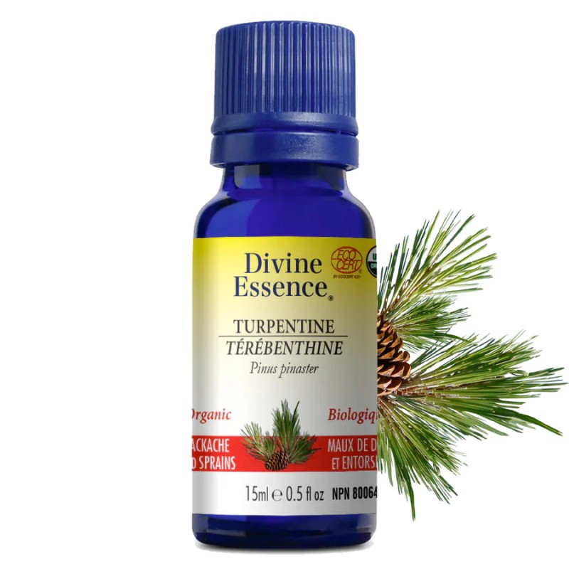 Huile essentielle Térébenthine Biologique 15 ml — Herboristerie Desjardins