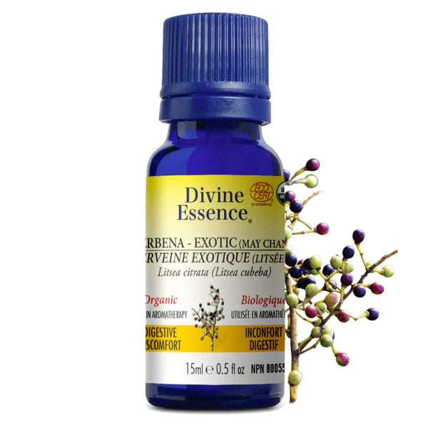 Verveine Exotique (Litsée Citronnée) Biologique (Litsea cubeba) — 15 ml