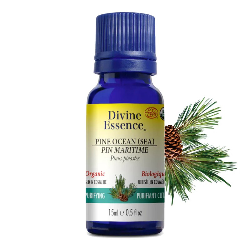 Huile essentielle Pin Maritime Biologique 15 ml — Herboristerie Desjardins