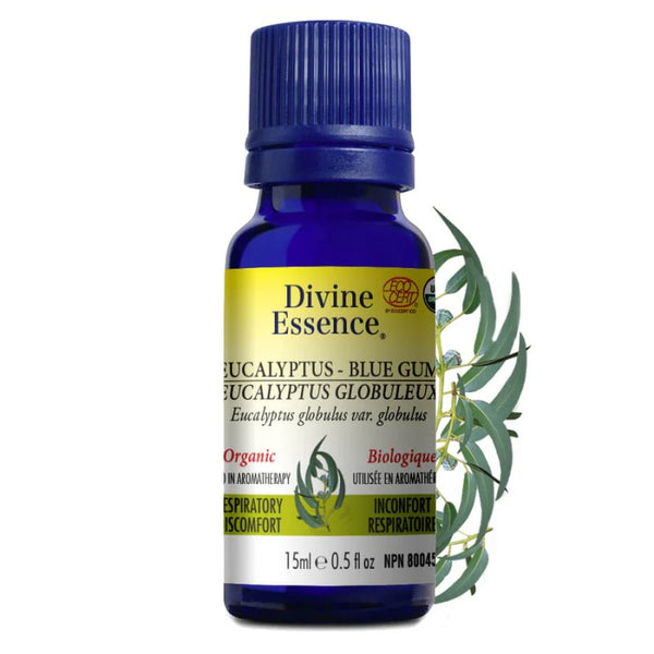 Eucalyptus Globuleux Biologique (Eucalyptus globulus) — 15 ml
