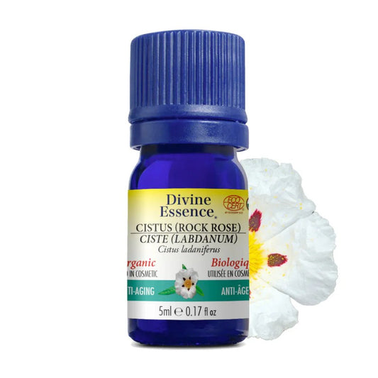 Huile essentielle Ciste (Labdanum) Biologique 15 ml — Herboristerie Desjardins