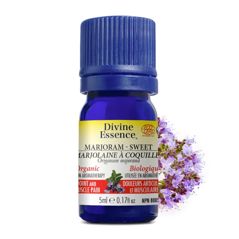 Huile essentielle Marjolaine à Coquilles Biologique 5 ml — Herboristerie Desjardins