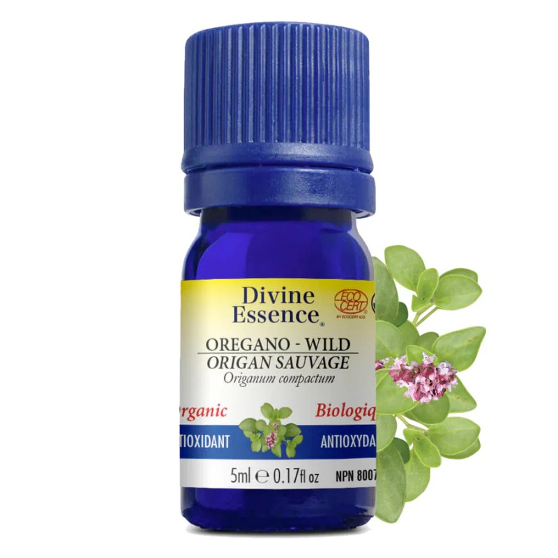 Huile essentielle Origan Sauvage Biologique 5 ml — Herboristerie Desjardins