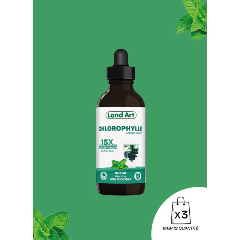 Chlorophylle 15X Liquide | Menthe — Herboristerie Desjardins