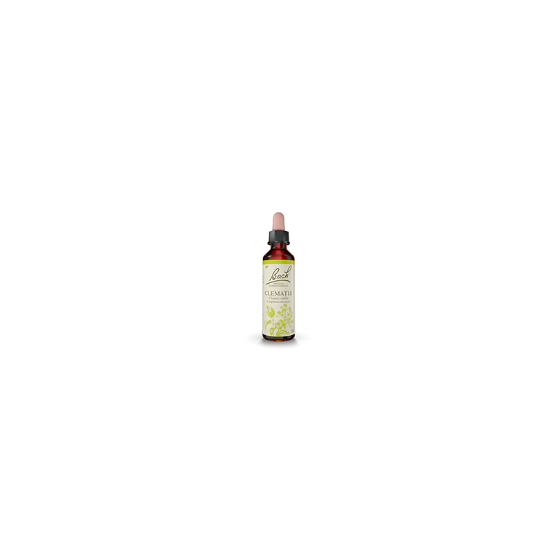 Fleurs de Bach Clématite 20 ml — Herboristerie Desjardins
