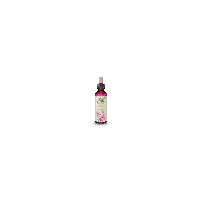 Fleurs de Bach Orme 20 ml — Herboristerie Desjardins
