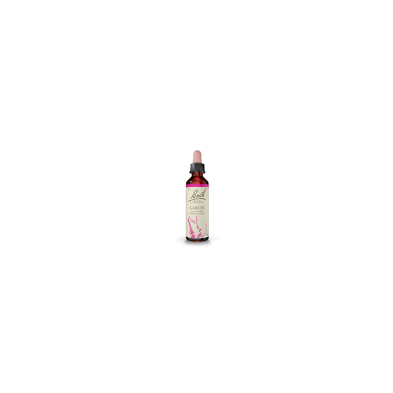 Fleurs de Bach Mélèze 20 ml — Herboristerie Desjardins