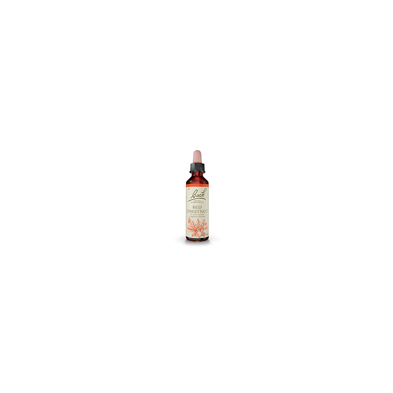 Fleurs de Bach Marronnier Rouge 20 ml — Herboristerie Desjardins