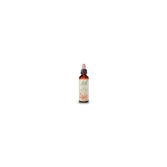 Fleurs de Bach Marronnier Rouge 20 ml — Herboristerie Desjardins