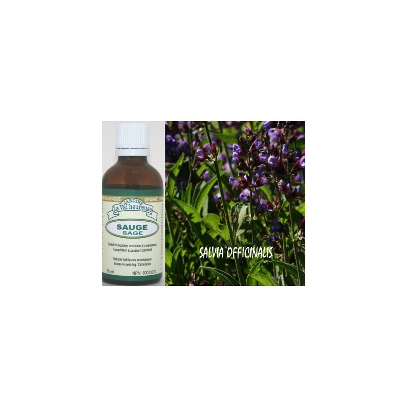 Sauge teinture mère 50 ml — Herboristerie Desjardins