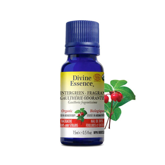 Huile essentielle Gaulthérie Odorante Bio 15 ml — Herboristerie Desjardins