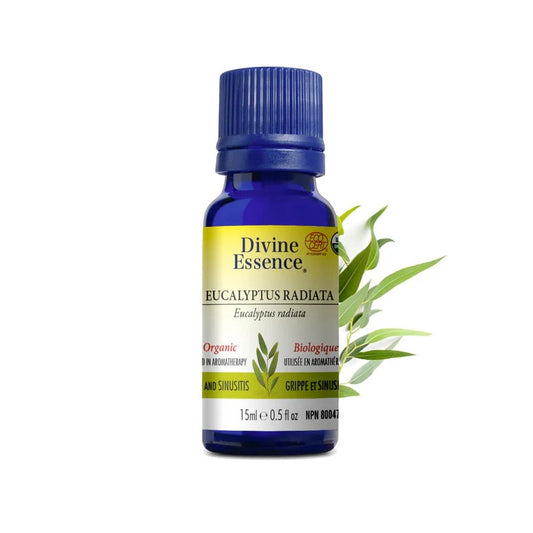 Huile essentielle Eucalyptus Radiata Biologique 15 ml — Herboristerie Desjardins