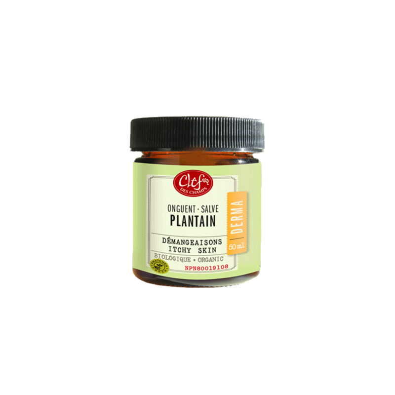 Onguent Plantain - 50ml — Herboristerie Desjardins