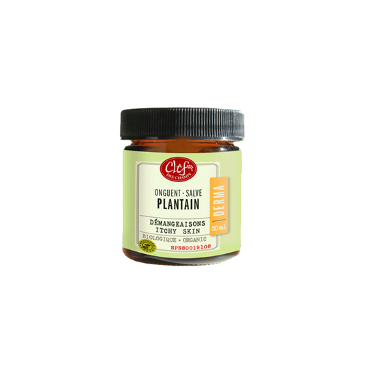 Onguent Plantain - 50ml — Herboristerie Desjardins