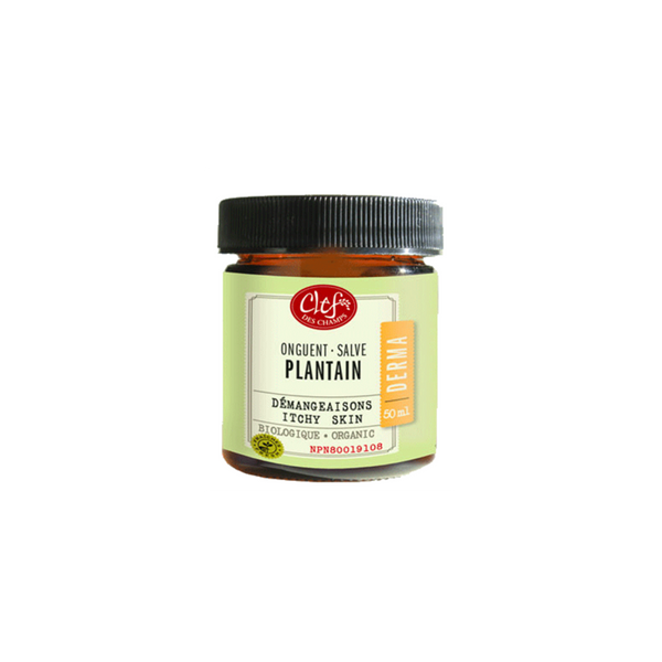 Onguent Plantain - 50ml