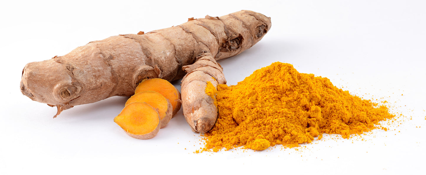 Zéodaire (Curcuma zedoaria) séchée en vrac