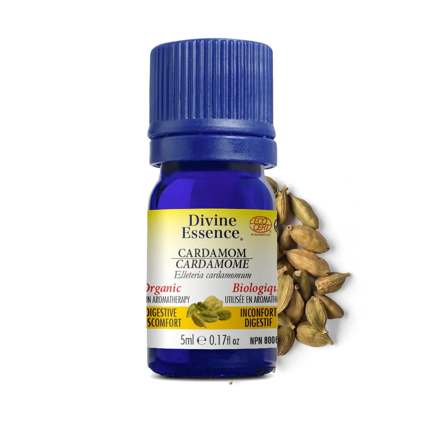 Cardamome Biologique