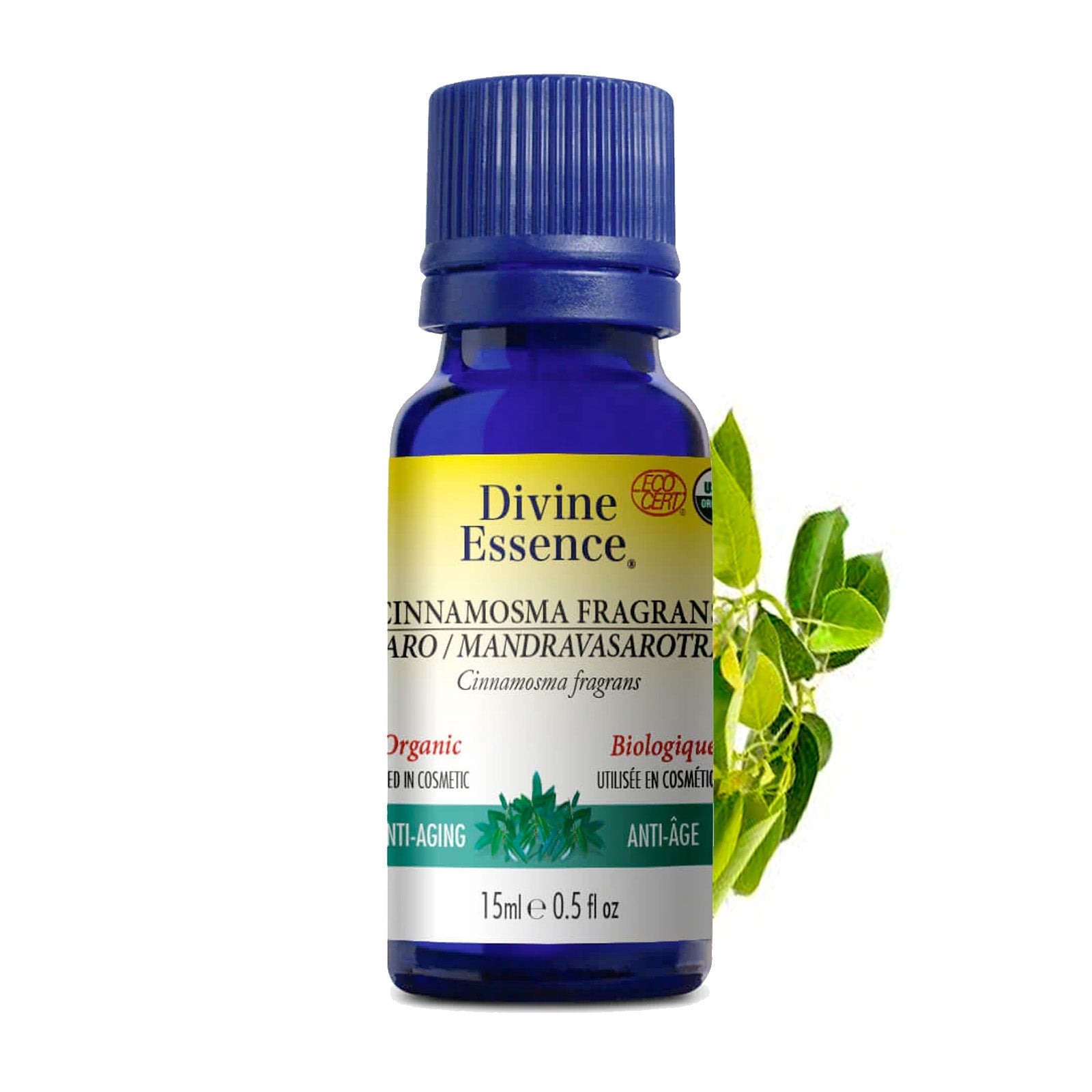 Cinnamosma Fragrans (Saro) Biologique