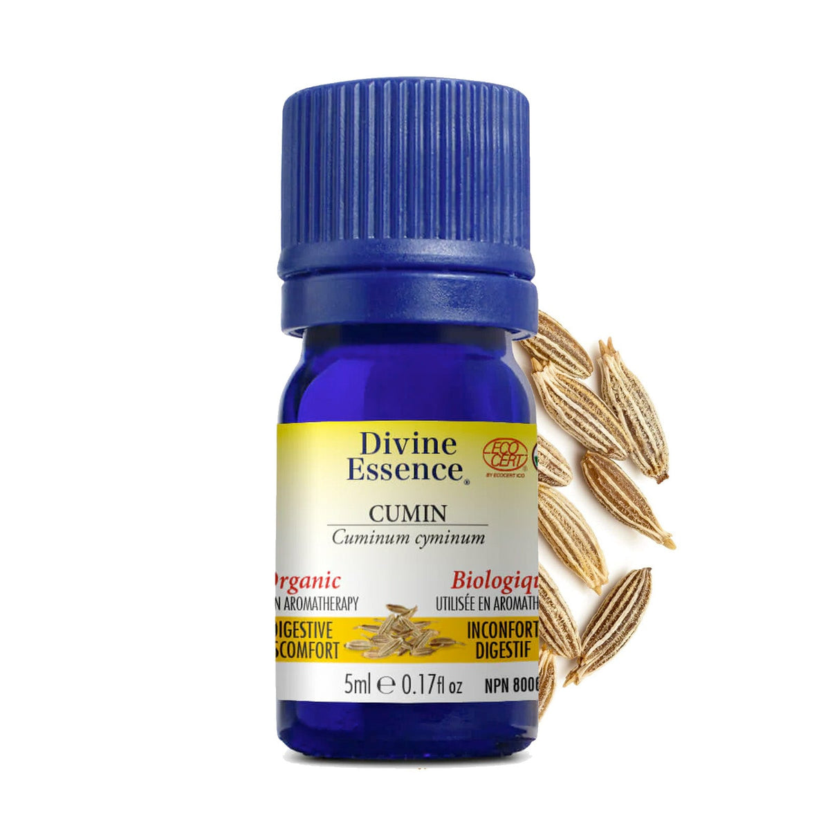 Cumin Biologique