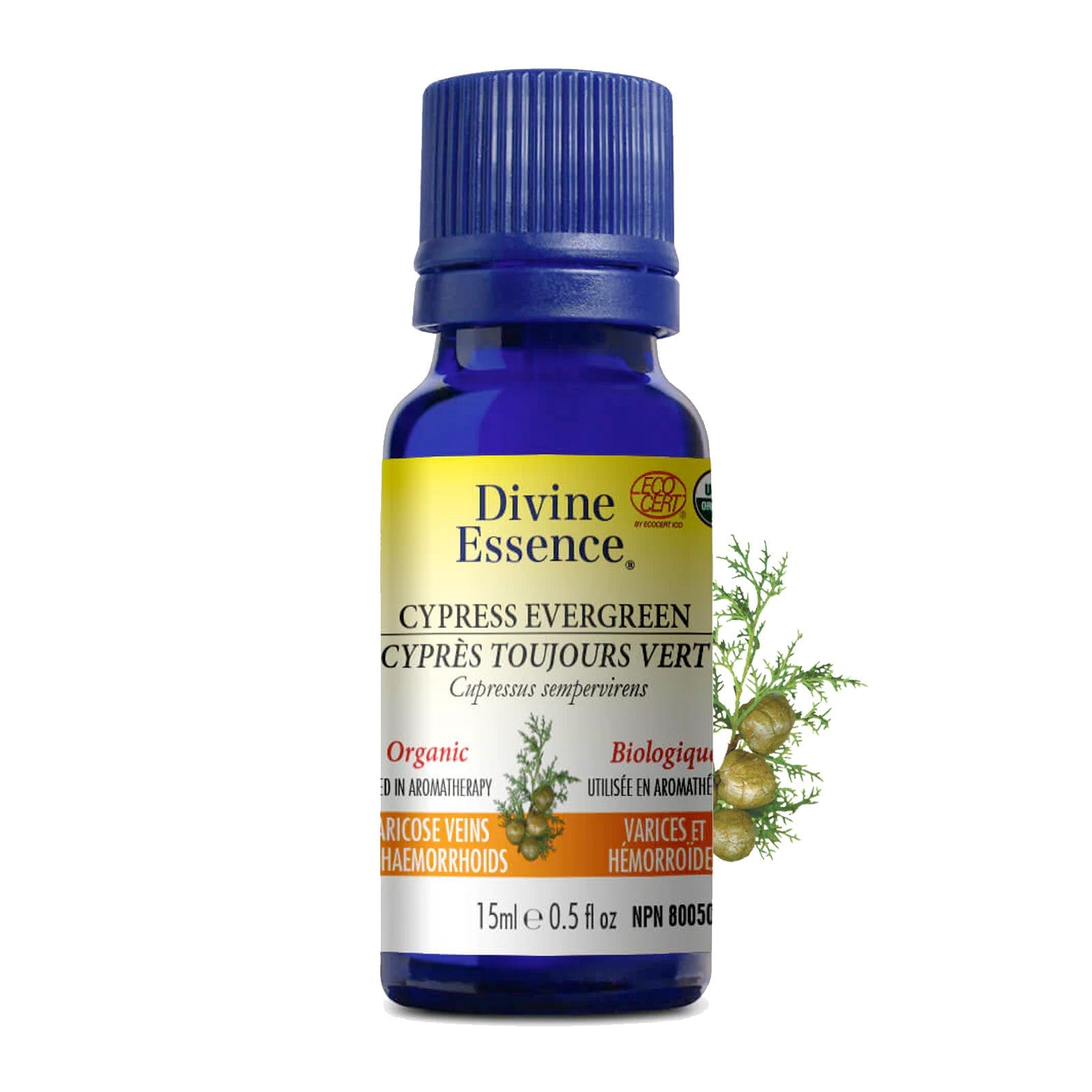 Cyprès Toujours Vert Biologique