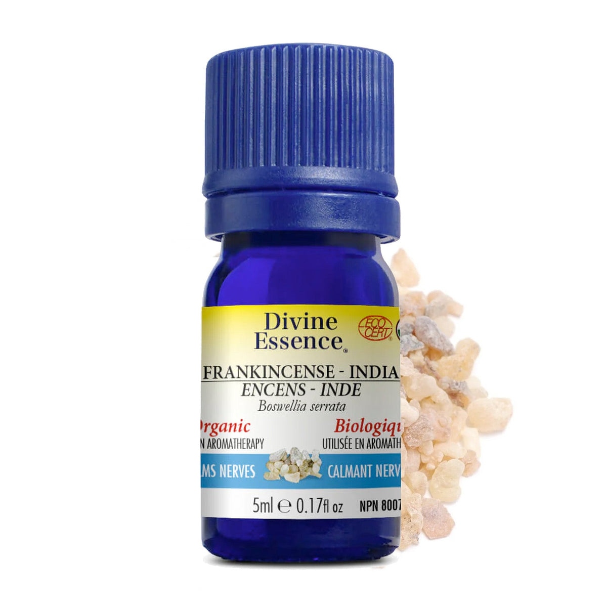 Encens Inde (B. Serrata) Biologique