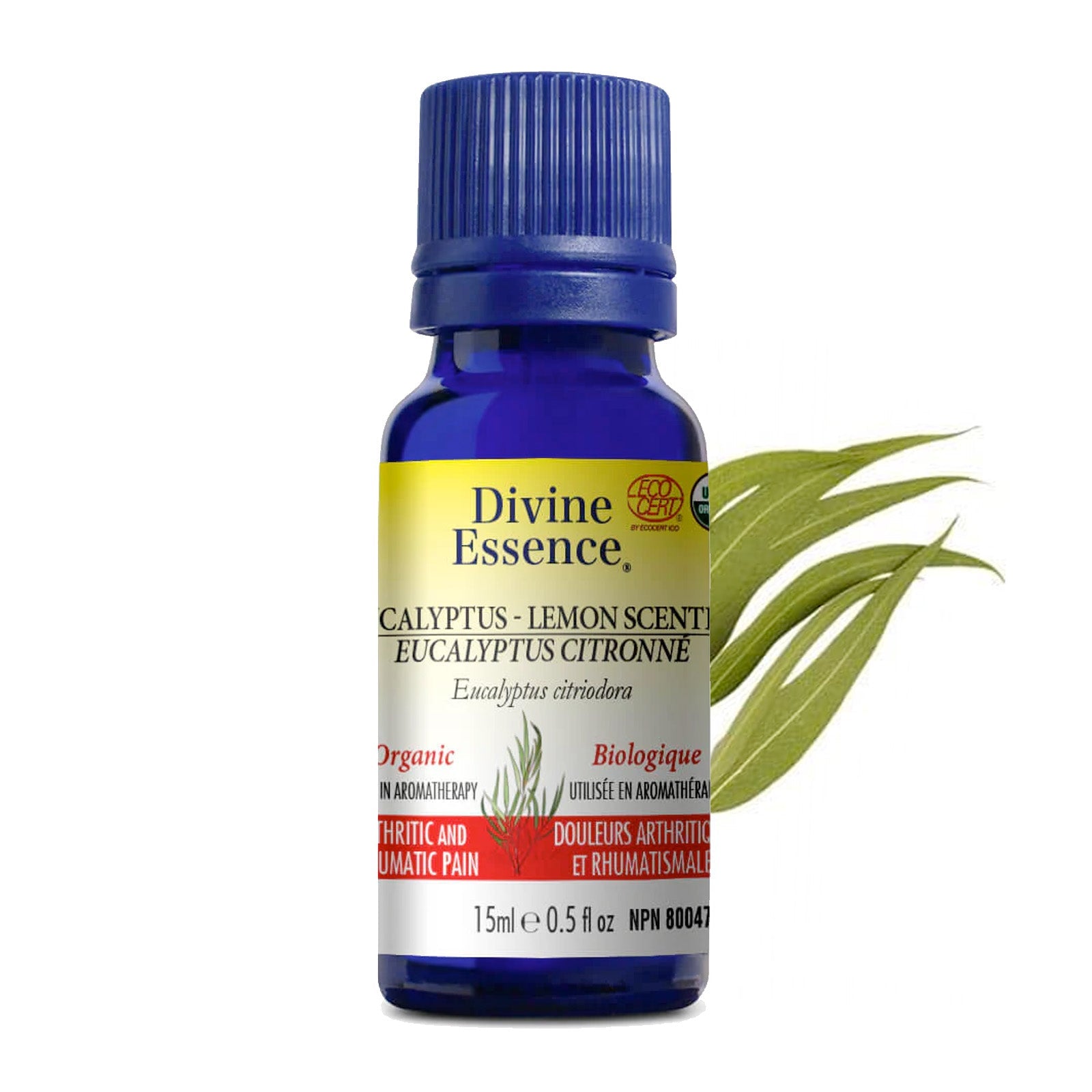 Eucalyptus Citronné Biologique