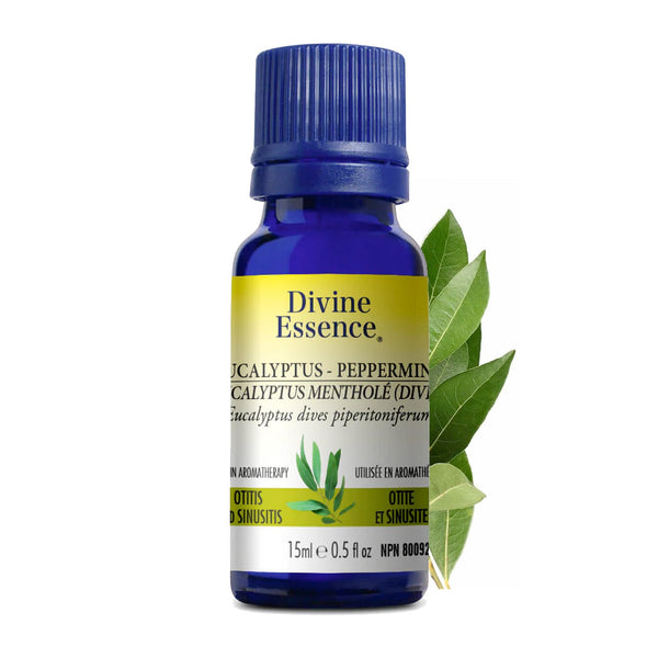 Eucalyptus Mentholé (Dives) — 15ml
