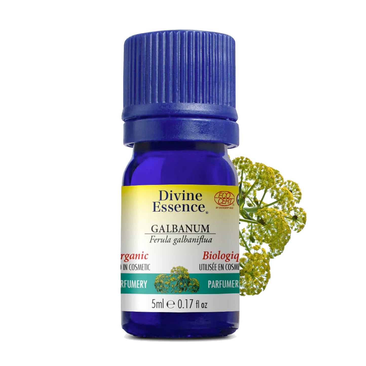 Galbanum Biologique
