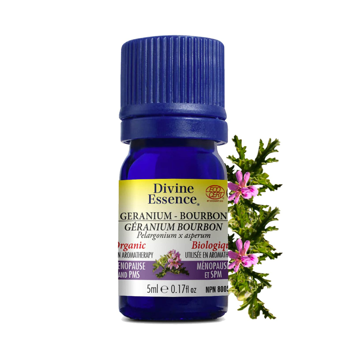 Géranium Bourbon Biologique