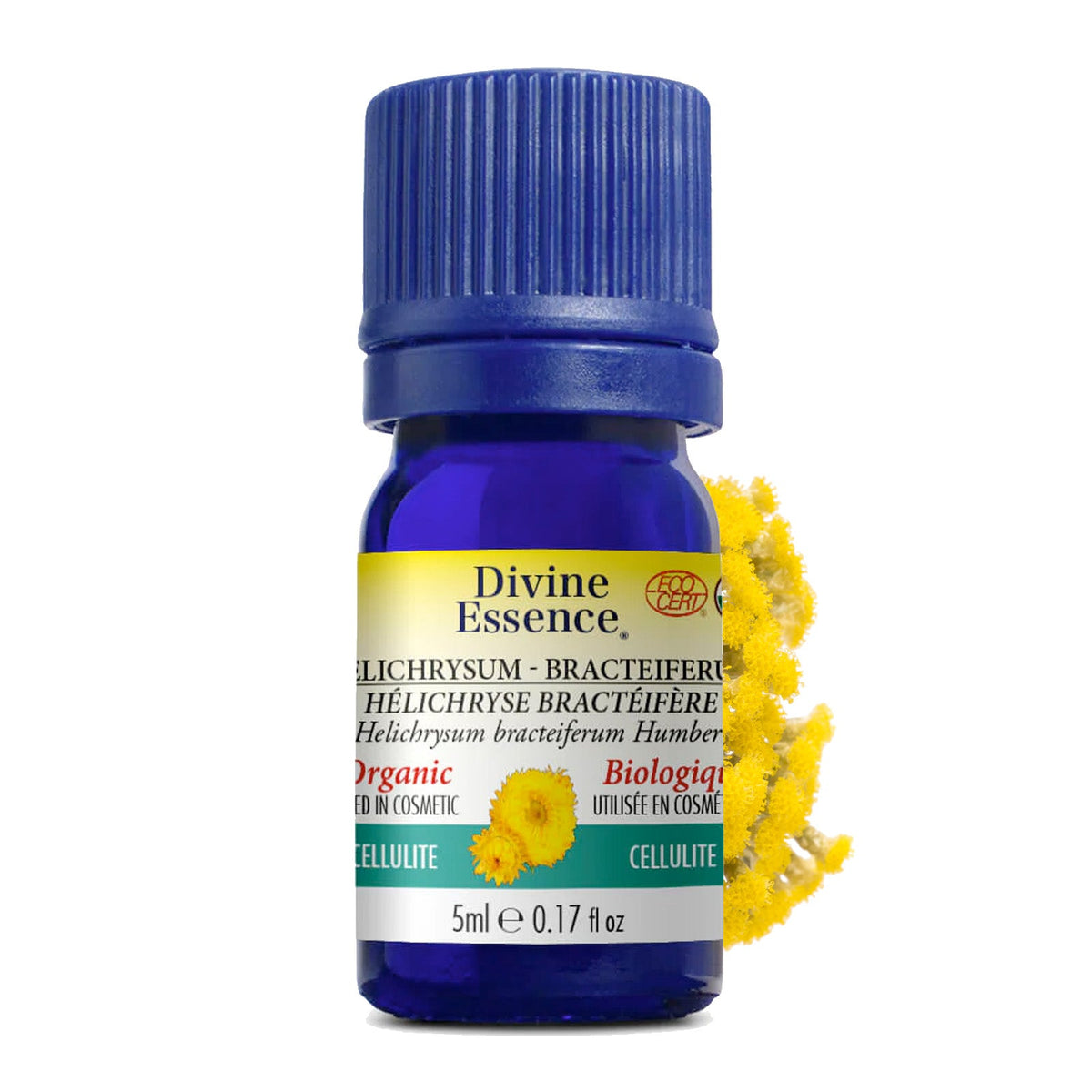 Hélichryse Bractéifère Biologique