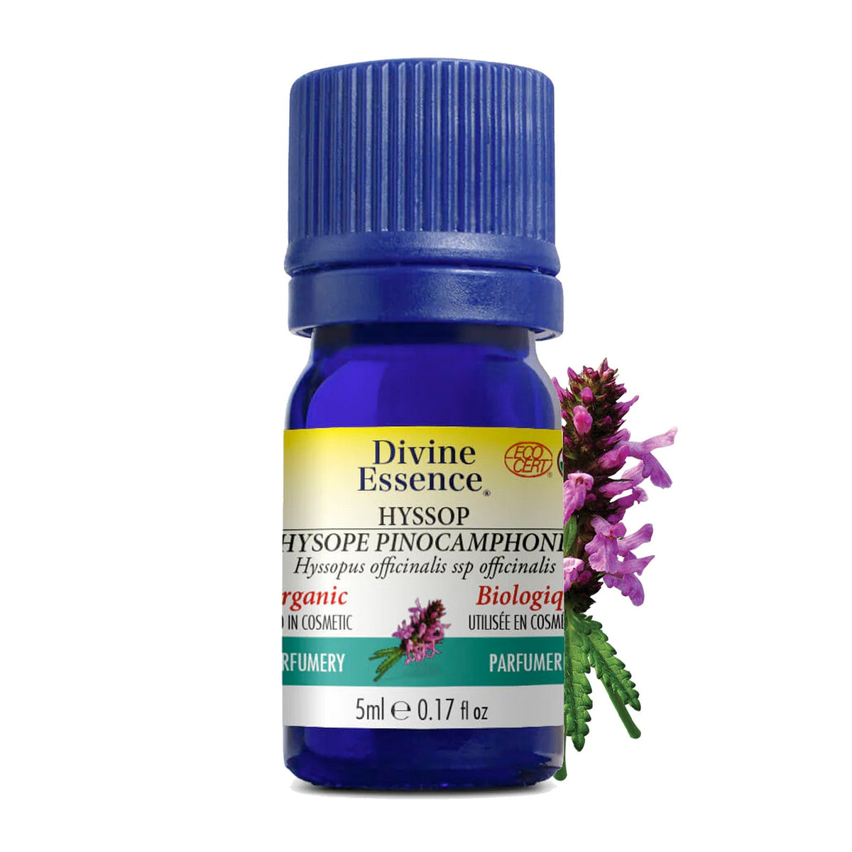 Hysope Pinocamphone Biologique