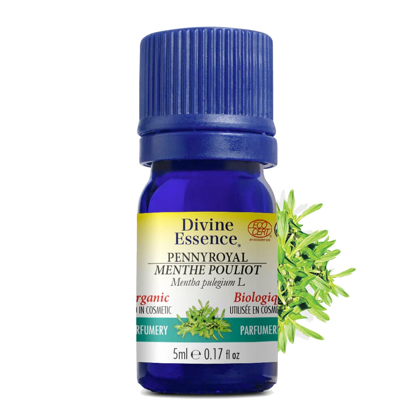 Menthe Pouliot Biologique