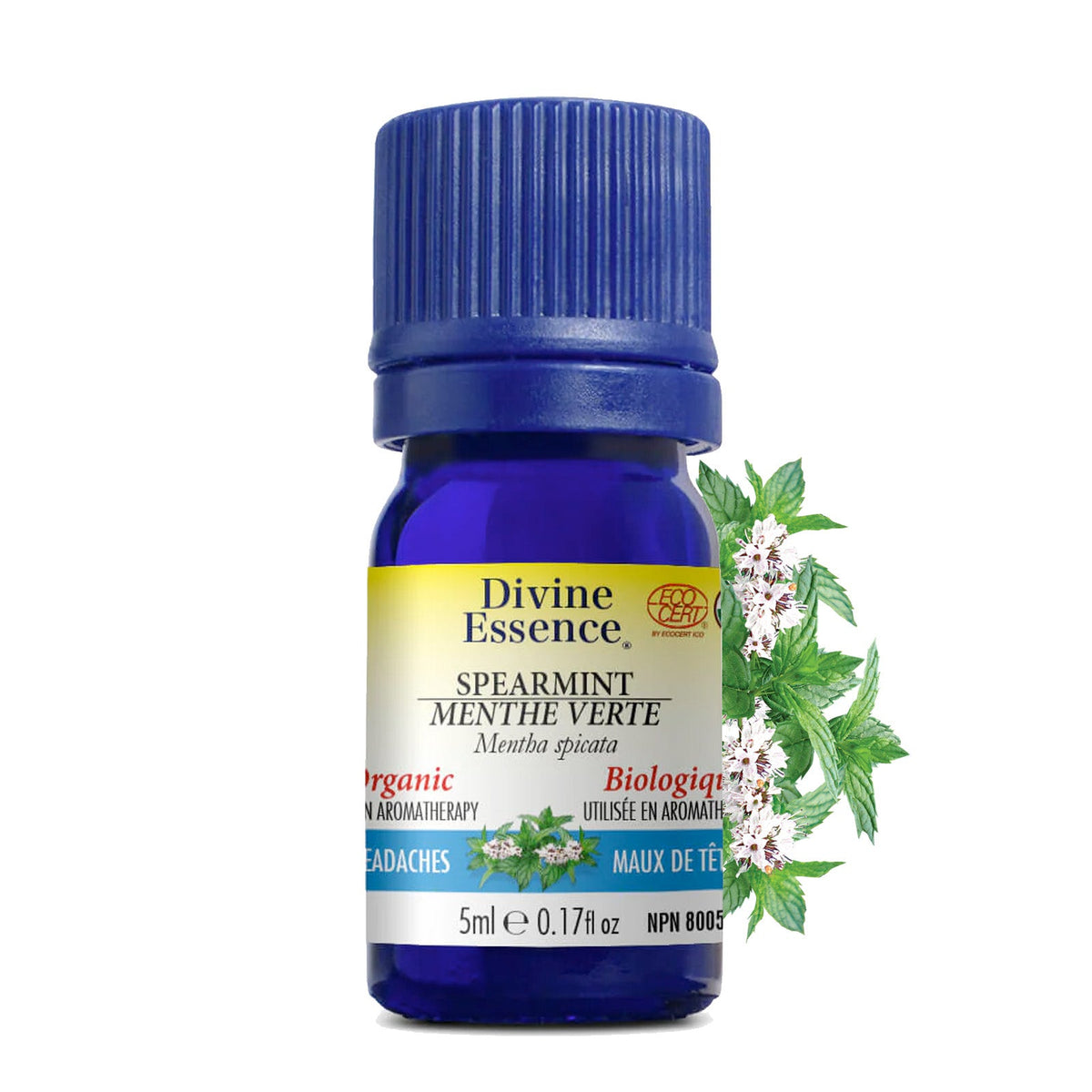 Menthe Verte Biologique
