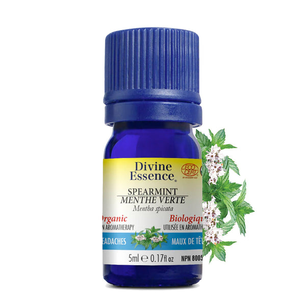 Menthe Verte Biologique — 5ml