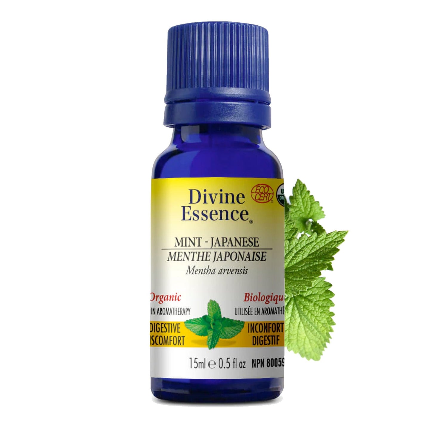 Menthe Japonaise Biologique